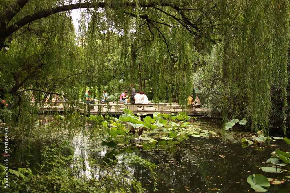 Fototapeta premium People´s Park