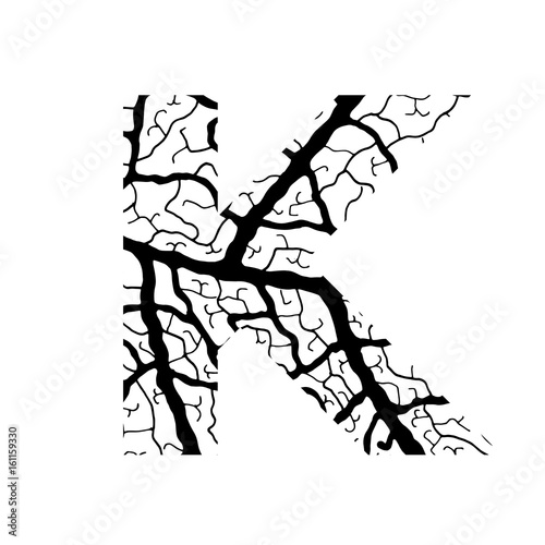 Nature alphabet, ecology decorative font. Capital letter K filled with leaf veins pattern black on white background. Leaves texture hand draw nature alphabet. Vector illustration.