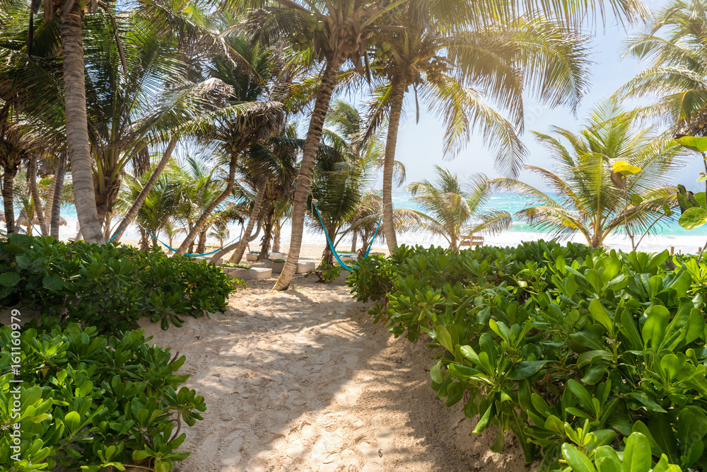 Sandweg zum karibischen Strand unter Palmen bei Sonnenschein Sandweg zum karibischen Strand unter Palmen bei Sonnenschein