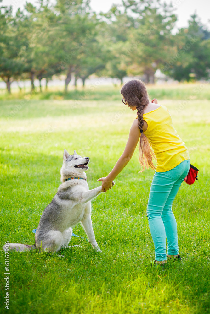 Teenage girl is hugging the husky dog Teenage girl is hugging the husky dog