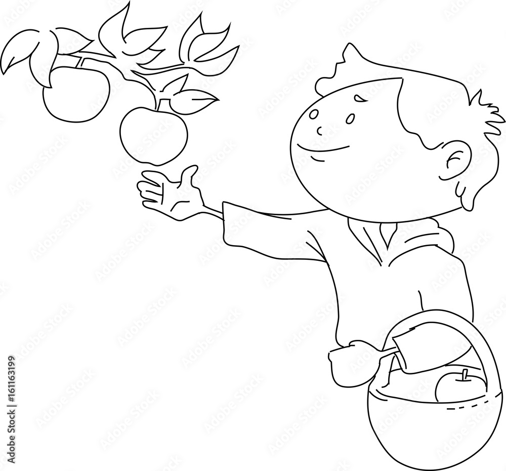 Obraz premium Boy taking apples from the tree – line art