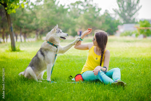 mixed breed dog gives a woman the paw siberian husky