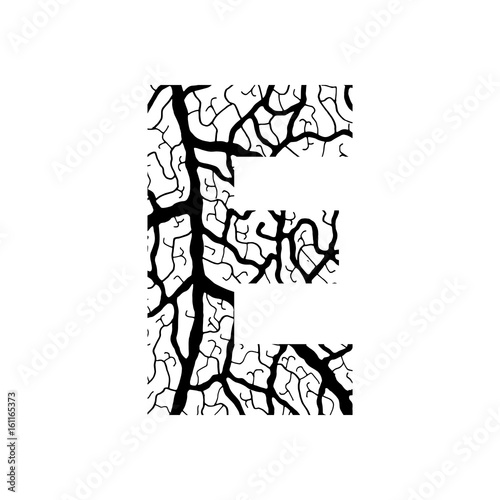 Nature alphabet  ecology decorative font. Capital letter E filled with leaf veins pattern black on white background. Leaves texture hand draw nature alphabet. Vector illustration.