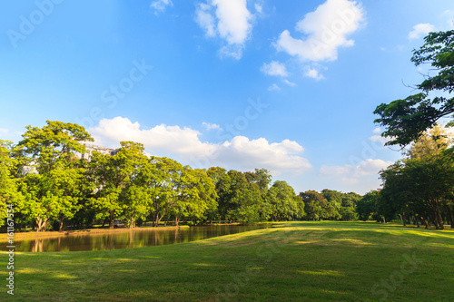 Fototapeta Naklejka Na Ścianę i Meble -  Green trees in beautiful park under the blue sky