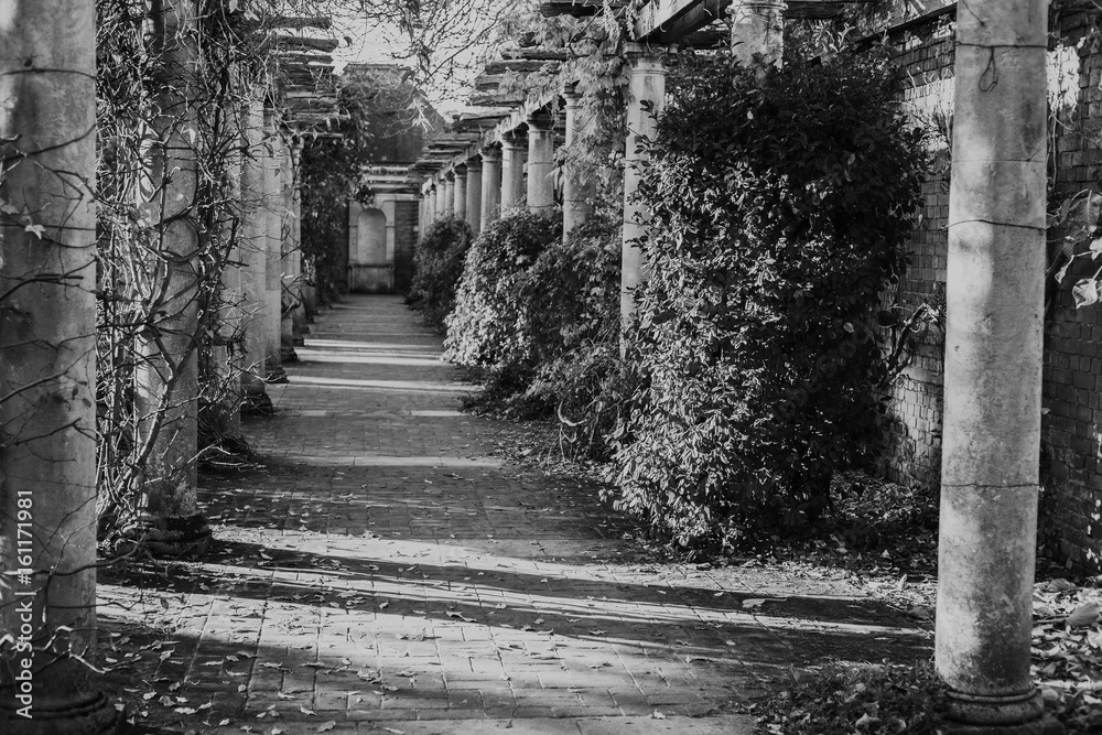 The Pergola, Hampstead Heath park b&w
