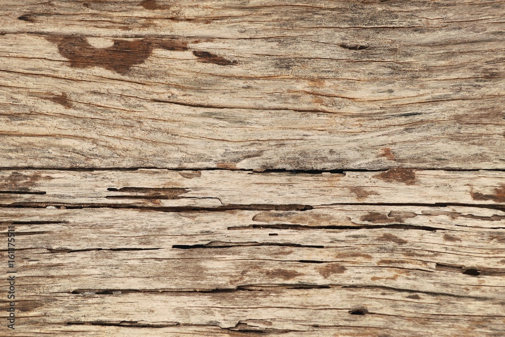 Obraz premium wood background vintage texture