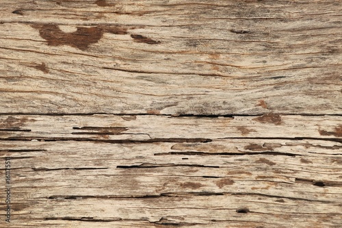 wood background vintage texture