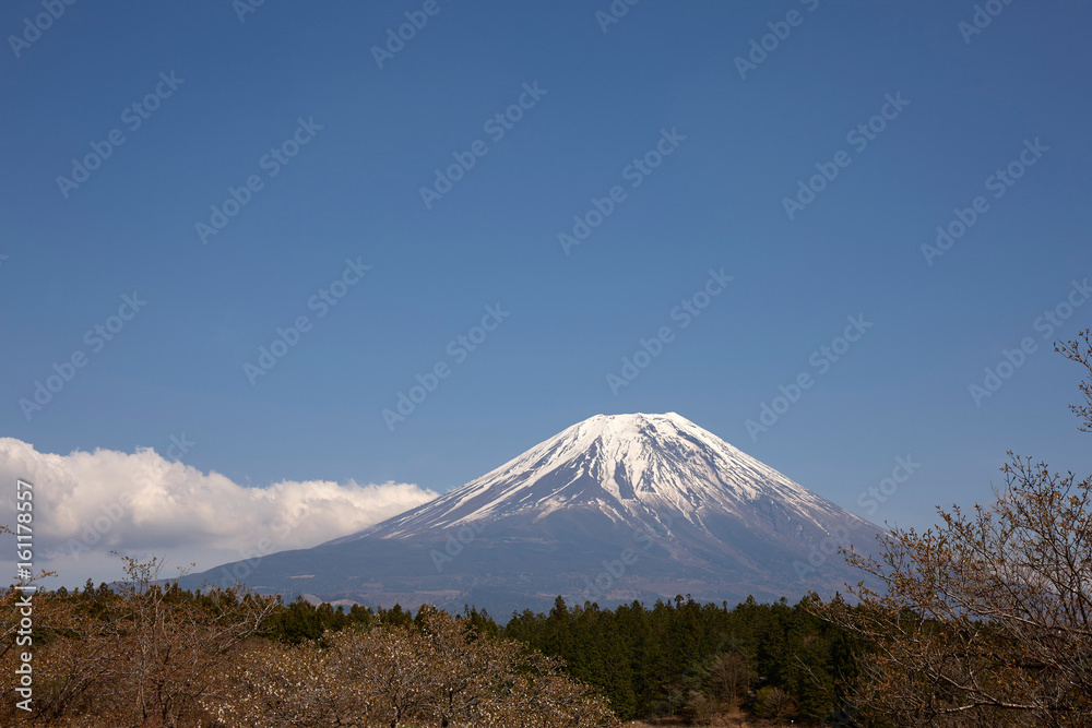 芝桜会場から見る富士山