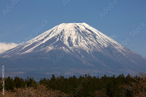 芝桜会場から見る富士山
