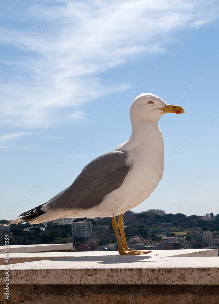 Fototapeta premium Italien