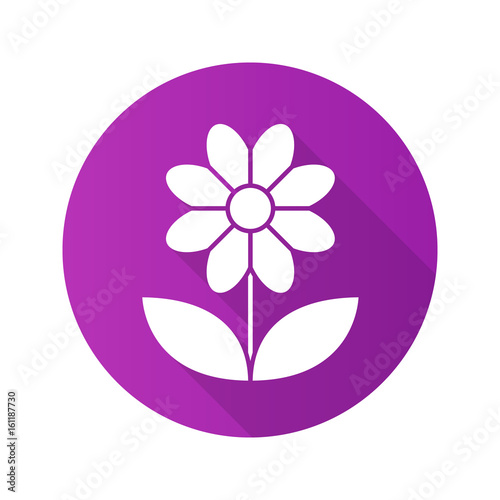 Camomile flat design long shadow icon