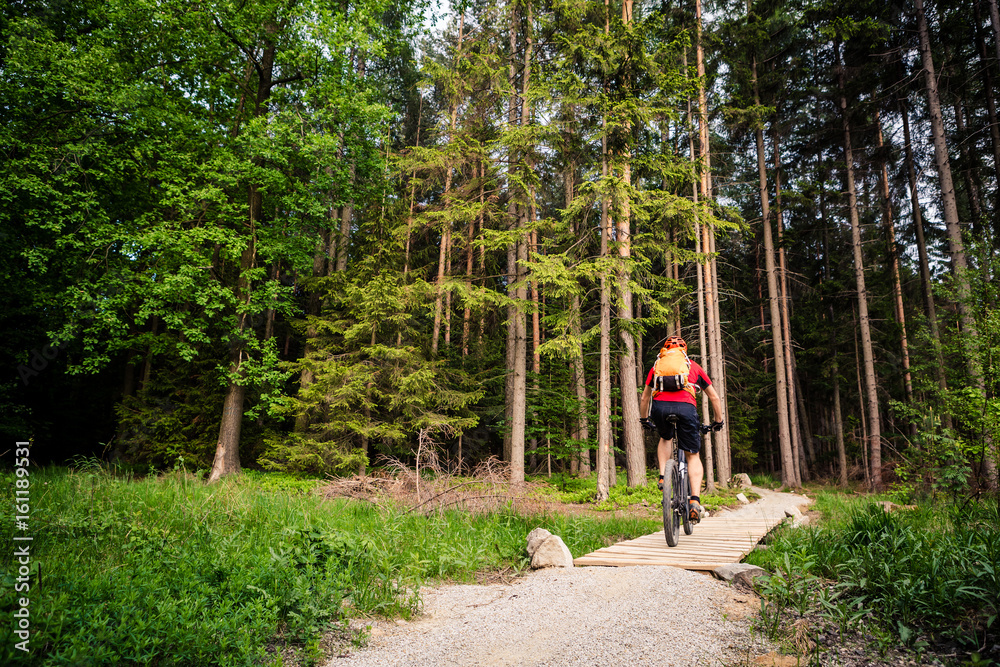 Fototapeta premium Mountain biker riding cycling in green inspiring forest