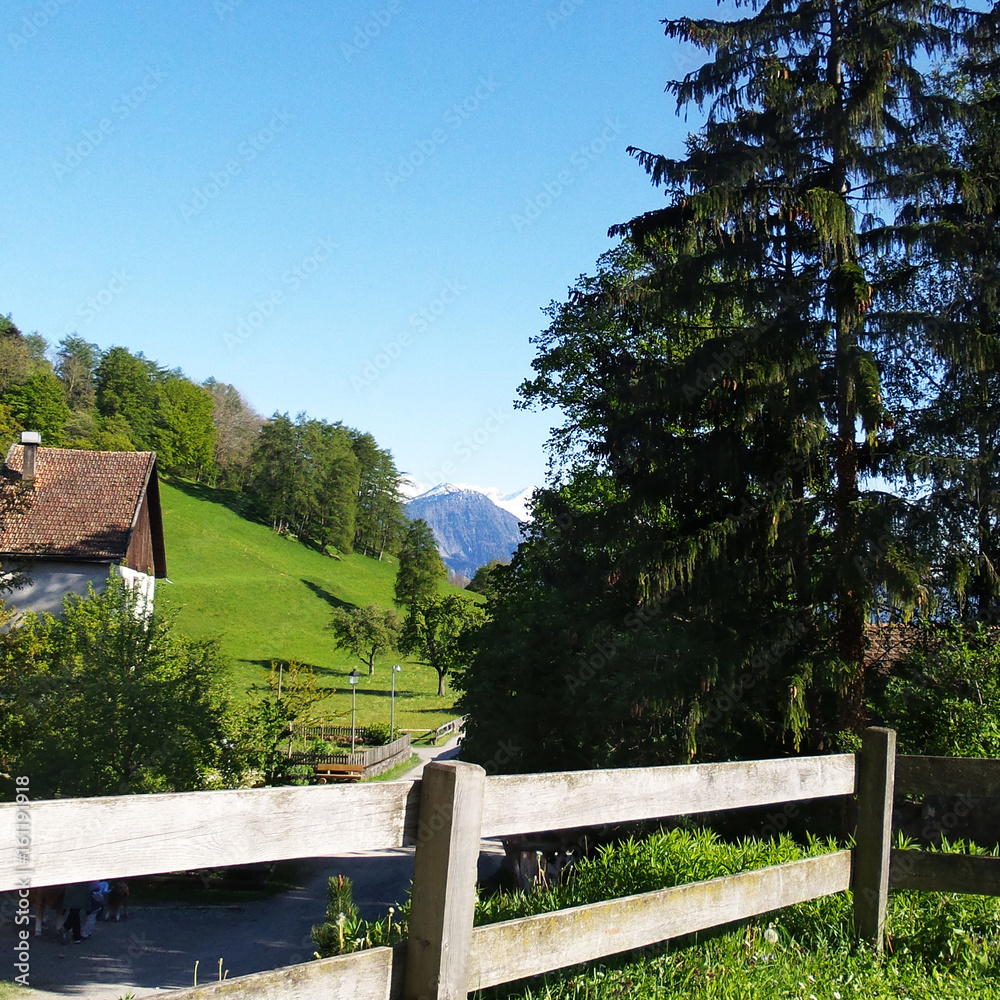 Landscape in Switzerland Heidiland