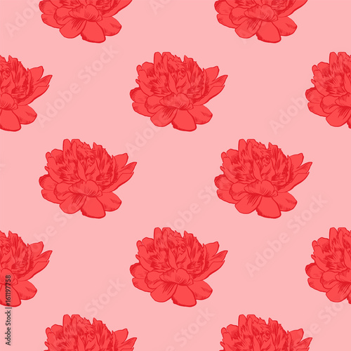 Fototapeta Naklejka Na Ścianę i Meble -  Hand-drawing peonies. Vector graphic flowers. Decorative background for cards, invitations. Template greeting card.