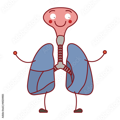 colorful silhouette caricature respiratory system with windpipe vector illustration