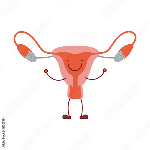 colorful silhouette caricature with happy face female reproductive system vector illustration