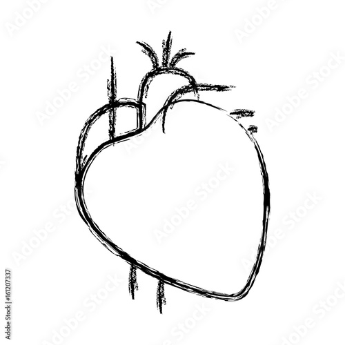 blurred hand drawing contour heart system human body vector illustration