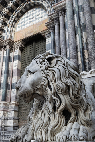 Lion devant la Cathédrale San Lorenzo
