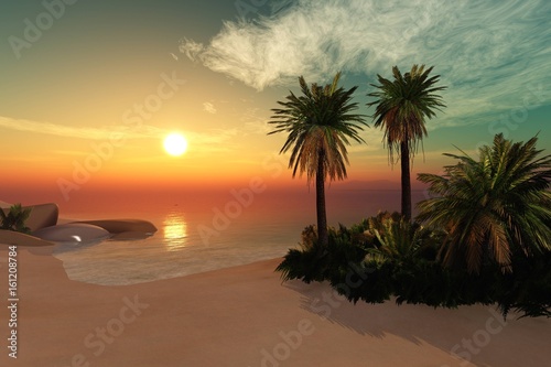 Tropical beach Ocean beach with palm trees on sunset background Sun over the sea 