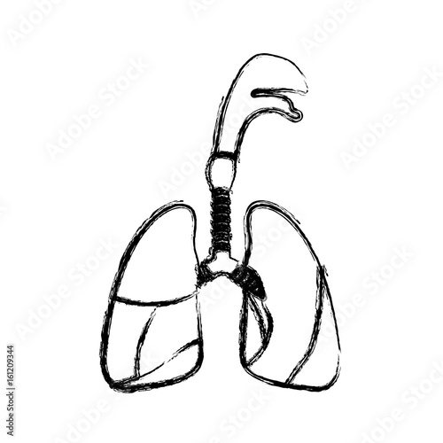 blurred realistic silhouette respiratory system with windpipe vector illustration