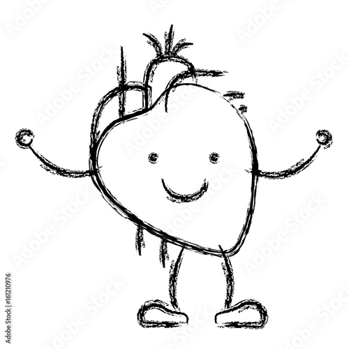 blurred hand drawing contour caricature circulatory system with heart vector illustration
