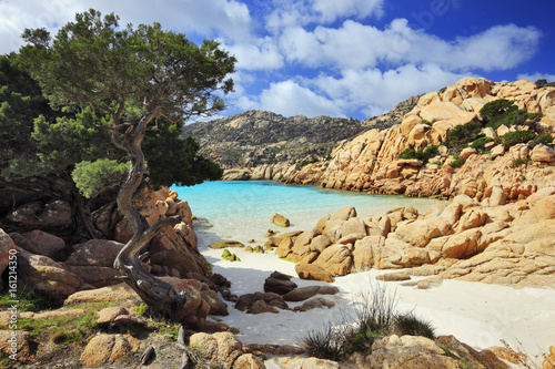 Italy, Sardinia, Olbia-Tempio district, Parco Nazionale Arcipelago di la Maddalena, Caprera photo