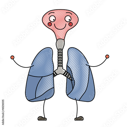 color crayon silhouette caricature respiratory system with windpipe vector illustration