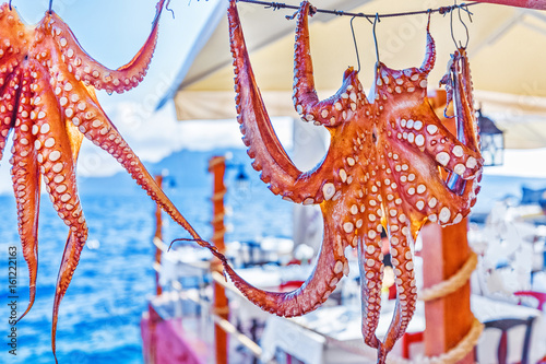 raditional seafood octopus dries at the rope as restaurant advertisement in front of turquoise color Ionian sea. Sunny day scenery. Located on Santorini island, Cyclades island archipelago in Greece. photo