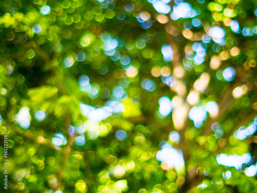 Natural bokeh abstract pattern background.Fresh healthy green bio background with abstract blurred foliage and bright summer sunlight and a central copyspace for your text or advertisment