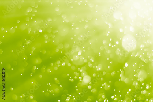 bokeh background lime green