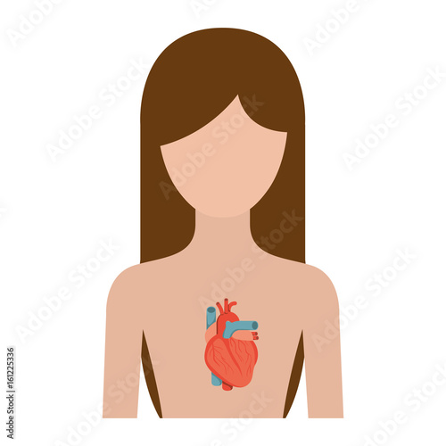 colorful silhouette half body female person with heart system vector illustration