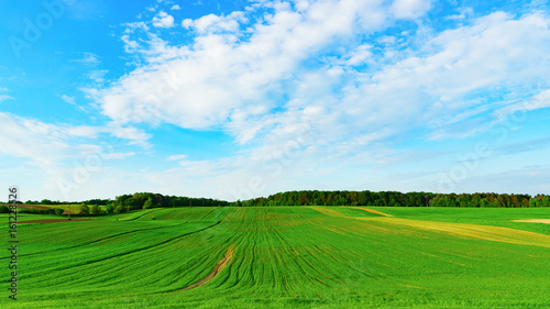 Green yellow agriculture countryside fields and white clouds on blue sky in summer day. Horizontal background, scenic adventures travel concept. Copy space. Lonely calm mood meditative nature.