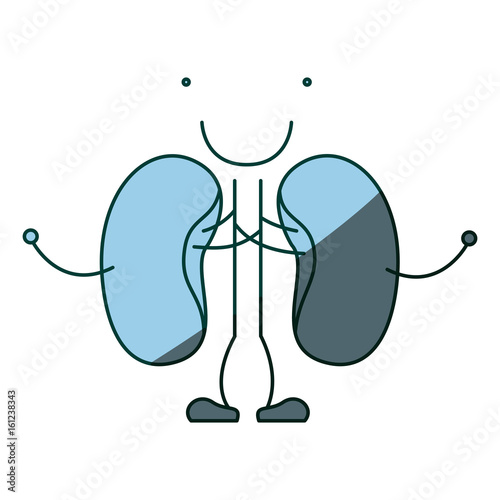 blue color shading hand drawing contour caricature renal system of human body vector illustration