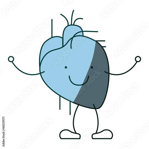 blue color shading hand drawing contour caricature circulatory system with heart vector illustration