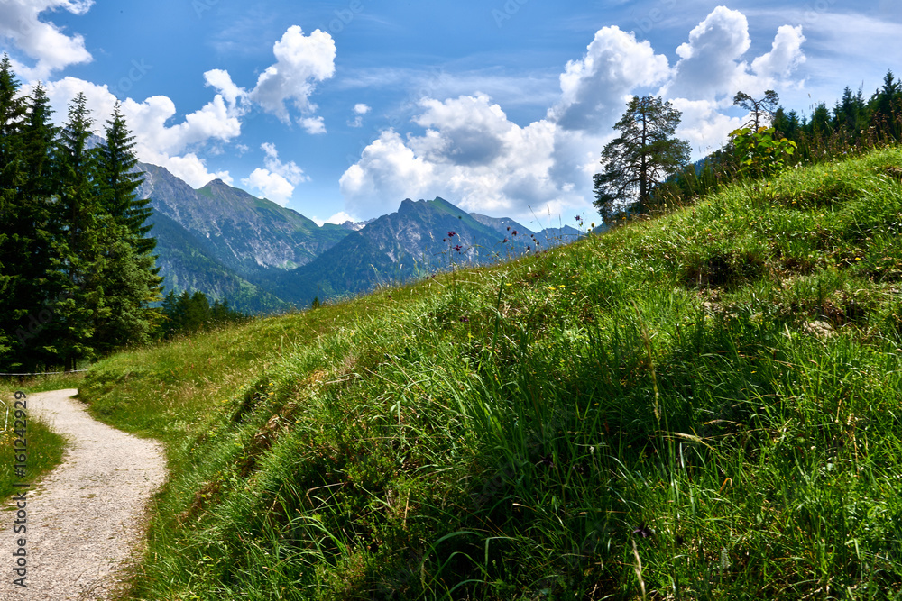 Fototapeta premium Wanderweg biketrail in den Allgäuer Alpen, Hinterstein, Hindelang