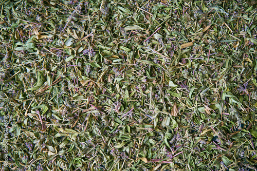 Dry thyme spice for food close up background. photo