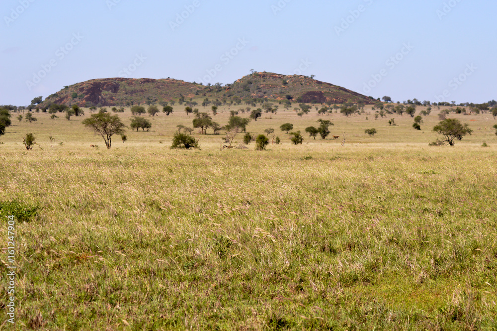 View of the Tsavo East savannah View of the Tsavo East savannah