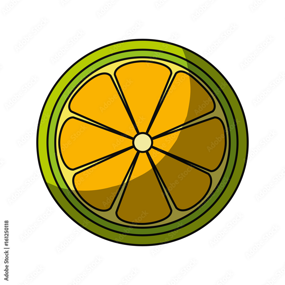 lemon slice citrus icon vector illustration graphic design lemon slice citrus icon vector illustration graphic design