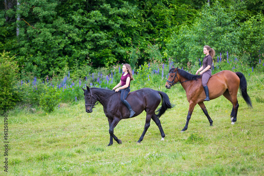 Riding horses in the woods Riding horses in the woods