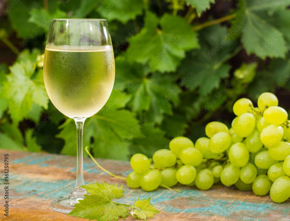 Wine glass with ice cold white wine, outdoor terrace, wine tasting in sunny day, green vineyard garden background. Wine glass with ice cold white wine, outdoor terrace, wine tasting in sunny day, green vineyard garden background.