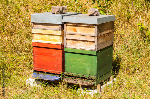 Bienenkästen auf grüner Wiese im Sommer