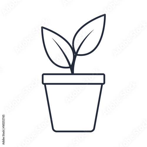 potted plant natural decoration interior vector illustration