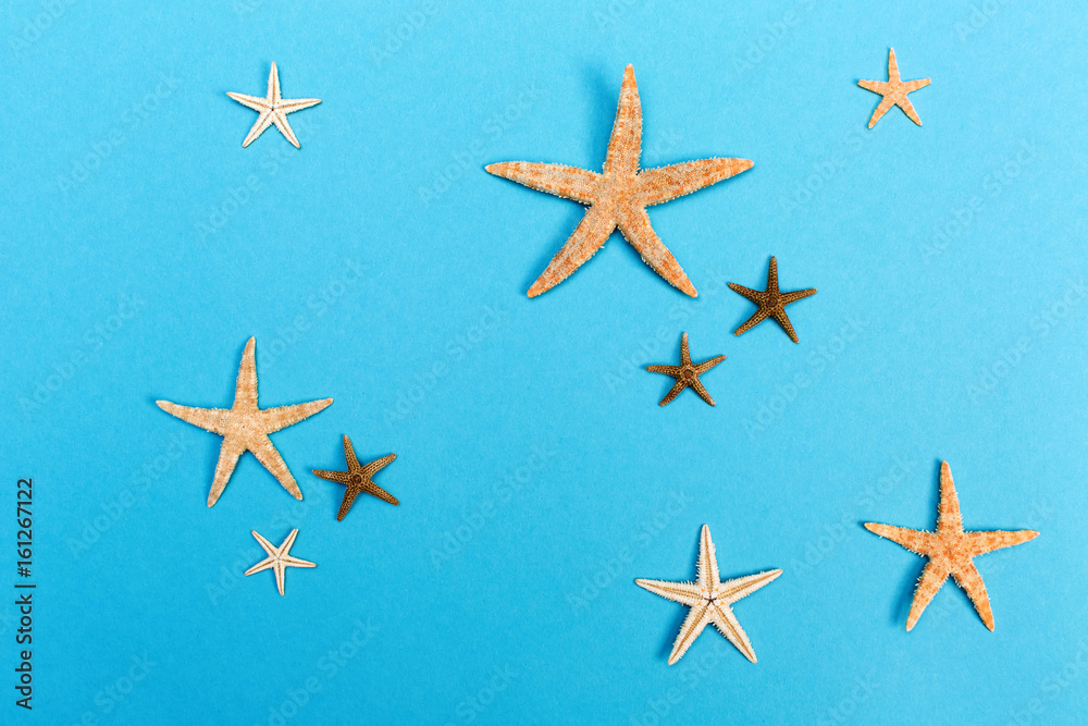 Assorted starfishes on a bright blue background Assorted starfishes on a bright blue background