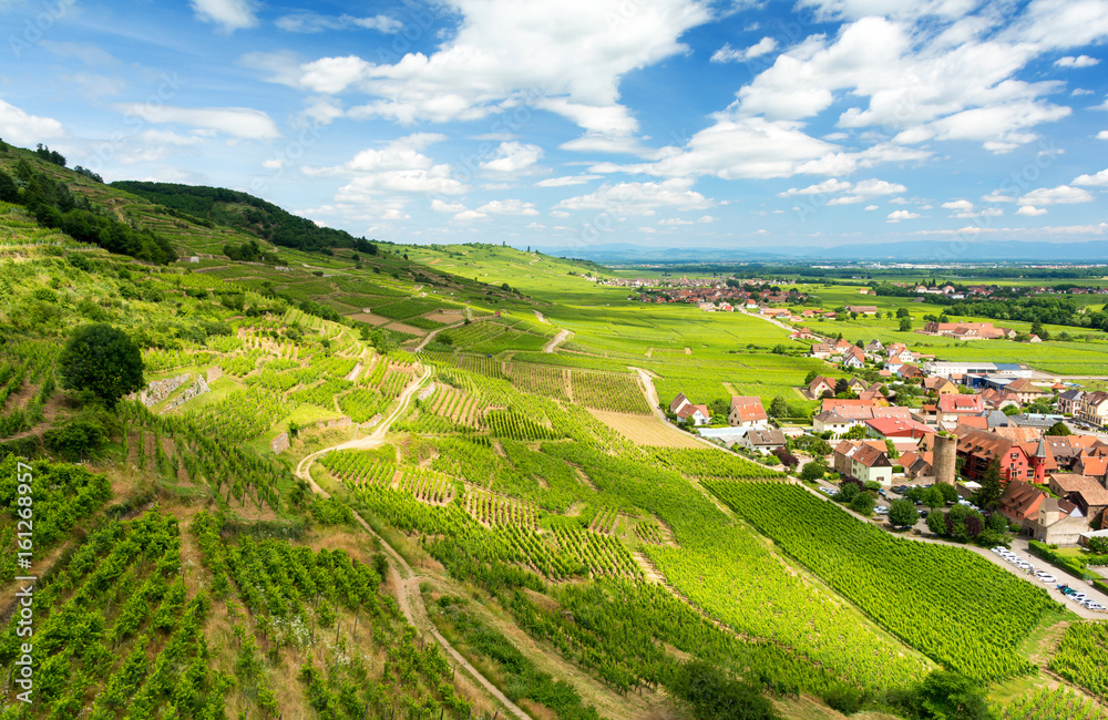 Hills covered with vineyards in the wine region of Alsace, France