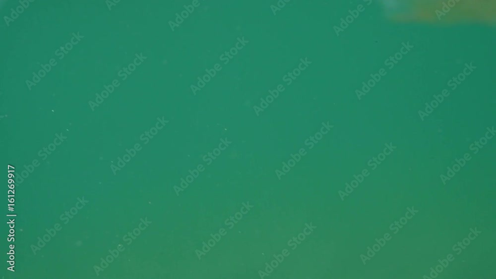 Bubbles rising to the surface. Air bubbles in water in sea (underwater shot), good for backgrounds. Slow motion.
Bubbles rising to the surface. Air bubbles in water in sea (underwater shot), good for backgrounds. Slow motion.