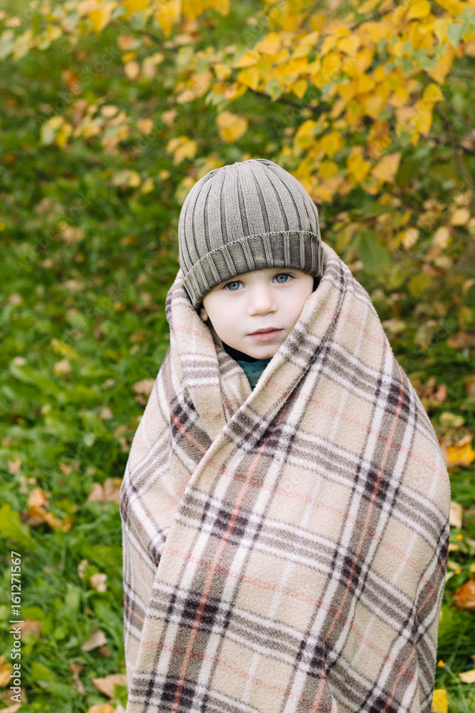 Cute little boy wrapped in a blanket. Portrait of cute little boy in autumn Park
Cute little boy wrapped in a blanket. Portrait of cute little boy in autumn Park