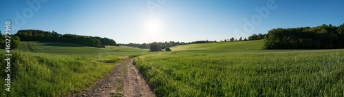 Green field and clear blue sky sun panorama