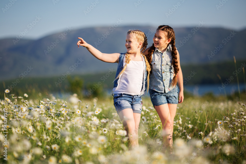 Two pretty child girls are walking at camomile field Two pretty child girls are walking at camomile field