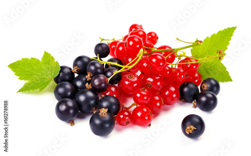 red and black currant