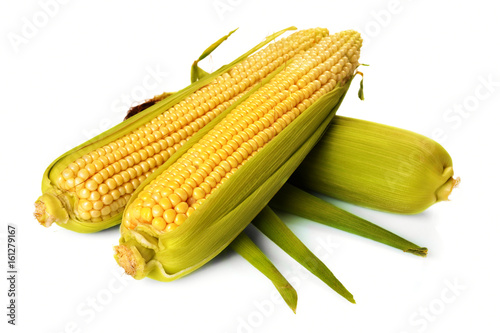 Fresh corn with green leaves still life vegetables